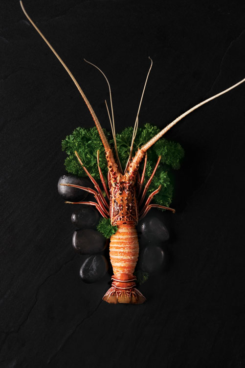 Crispy lobster puff